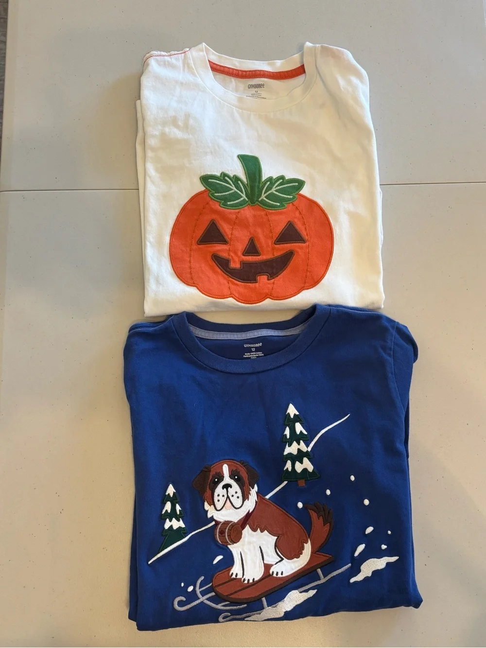 Set/2 Gymboree White Pumpkin Applique & Blue Dog Ski T-Shirts